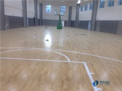 篮球木地板检测报告