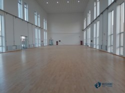 专业篮球场馆木地板施工团队